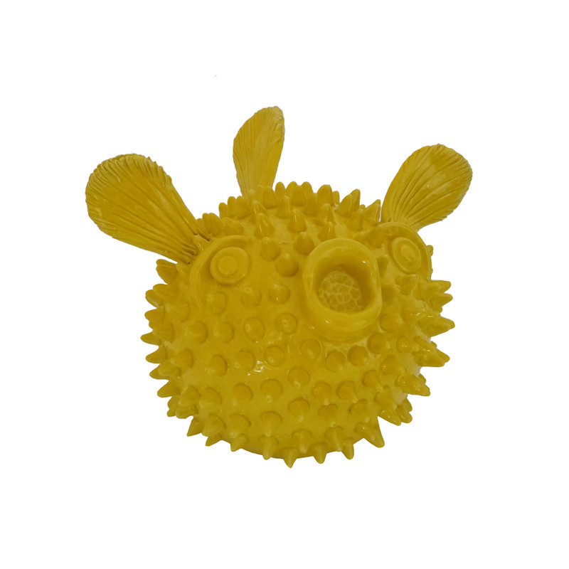 Pesce palla Giallo