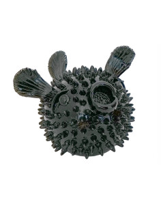 Pesce palla Nero
