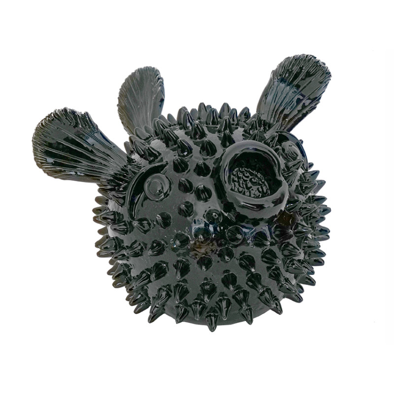Pesce palla Nero
