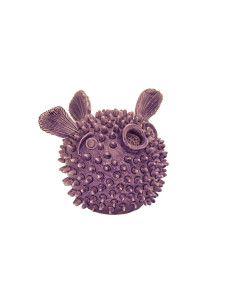 Pesce palla Lilla