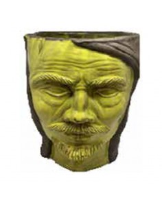 Testa di Moro Raggi di Luna Senape