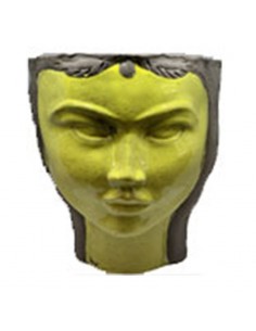 Testa di Moro Raggi di Luna Orientale