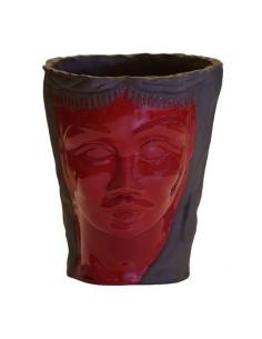 Testa di Moro Raggi di Luna Red