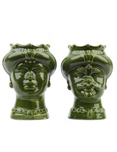 Testa di Moro Res Parva Praetiosa Verde Foglia